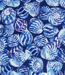 THEVENON OCEAN FOND ENCRE