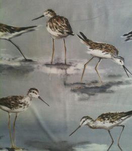 THEVNEON CARNAC MARRON FOND GRIS